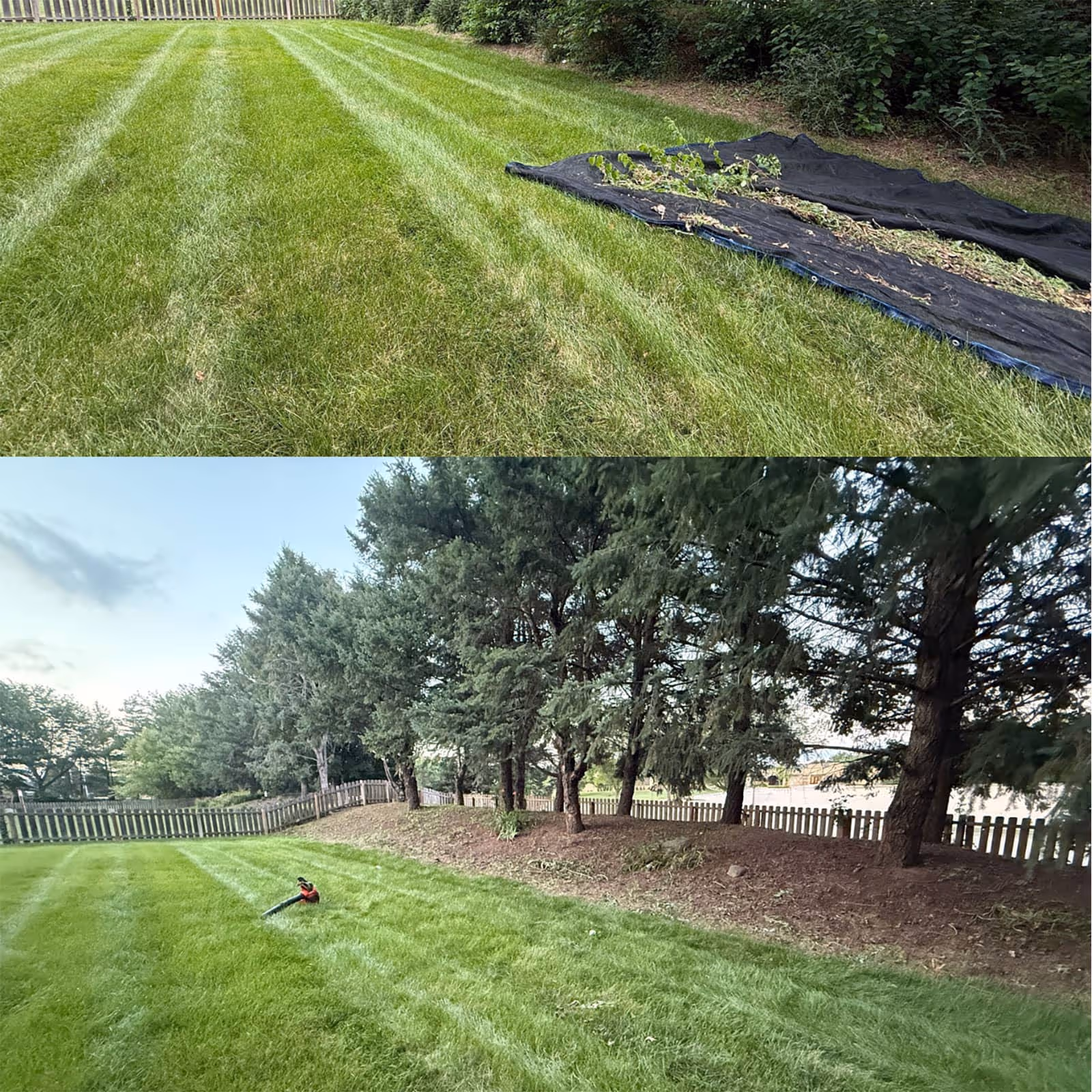 Professional lawn and landscape care trusted near me