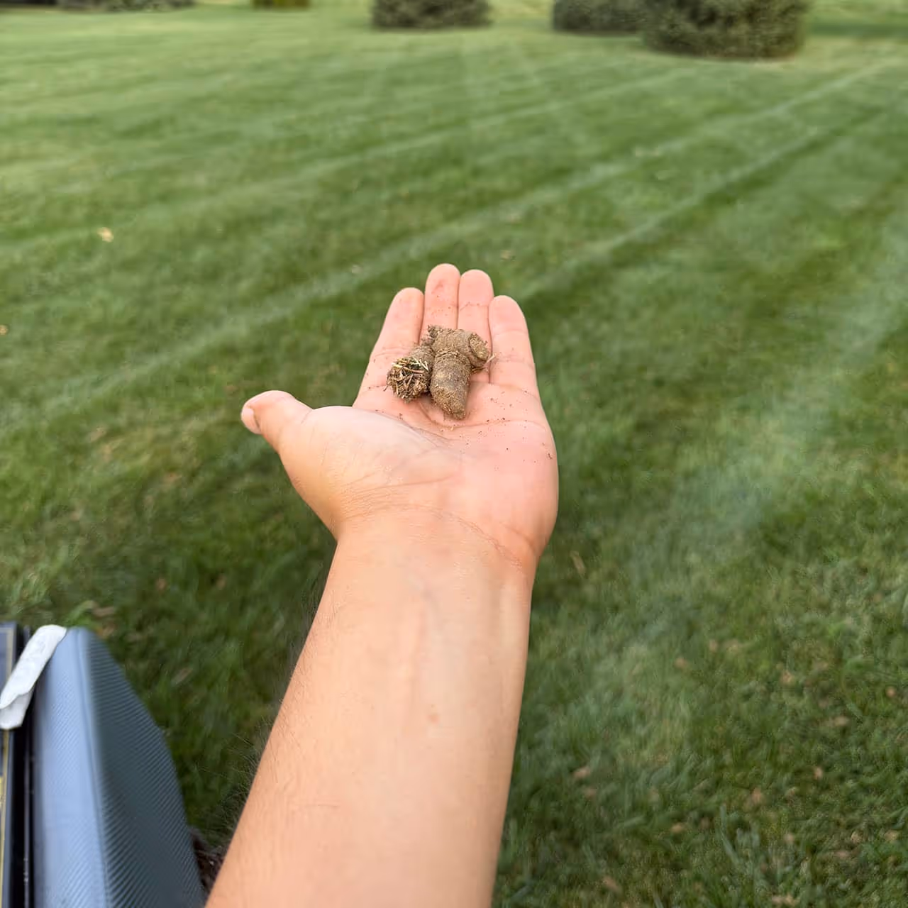 Lawn aeration service by Vargas Lawn Care Services in West Des Moines Iowa near me