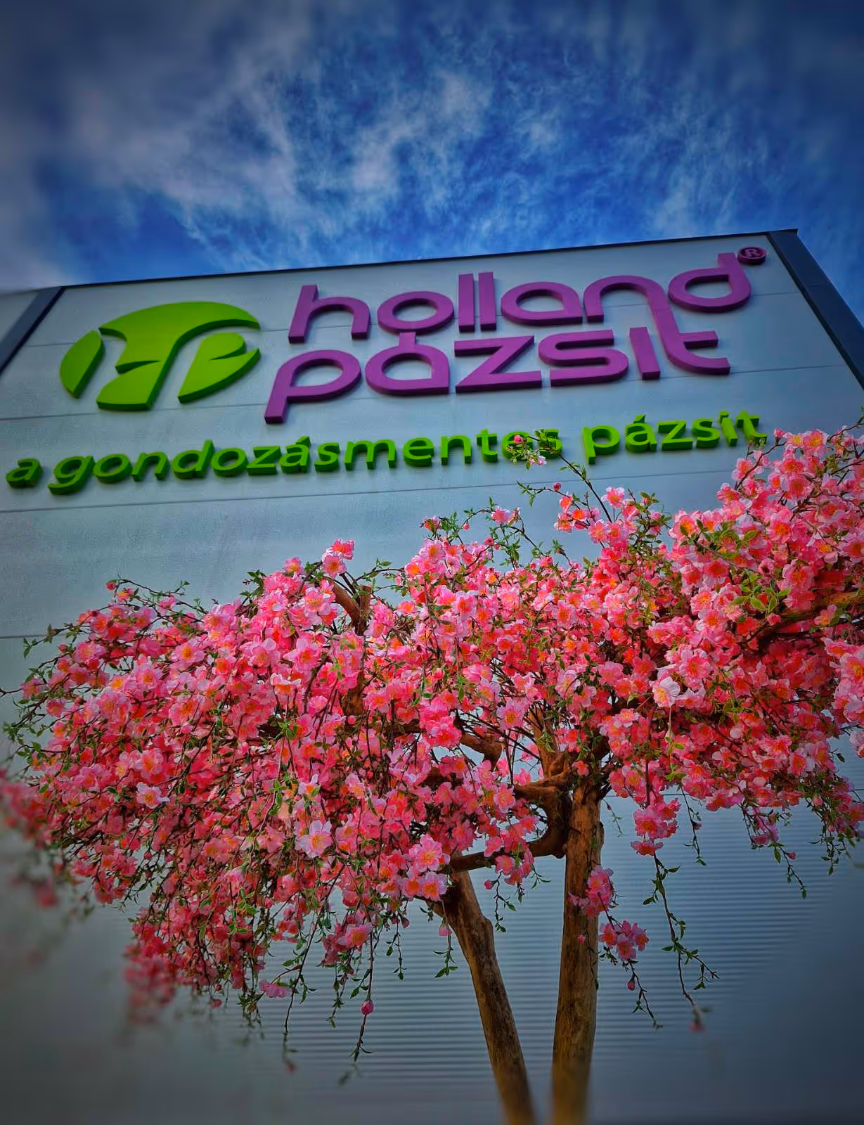 Garázsvásár a Holland Pázsit Műfű Centrumban