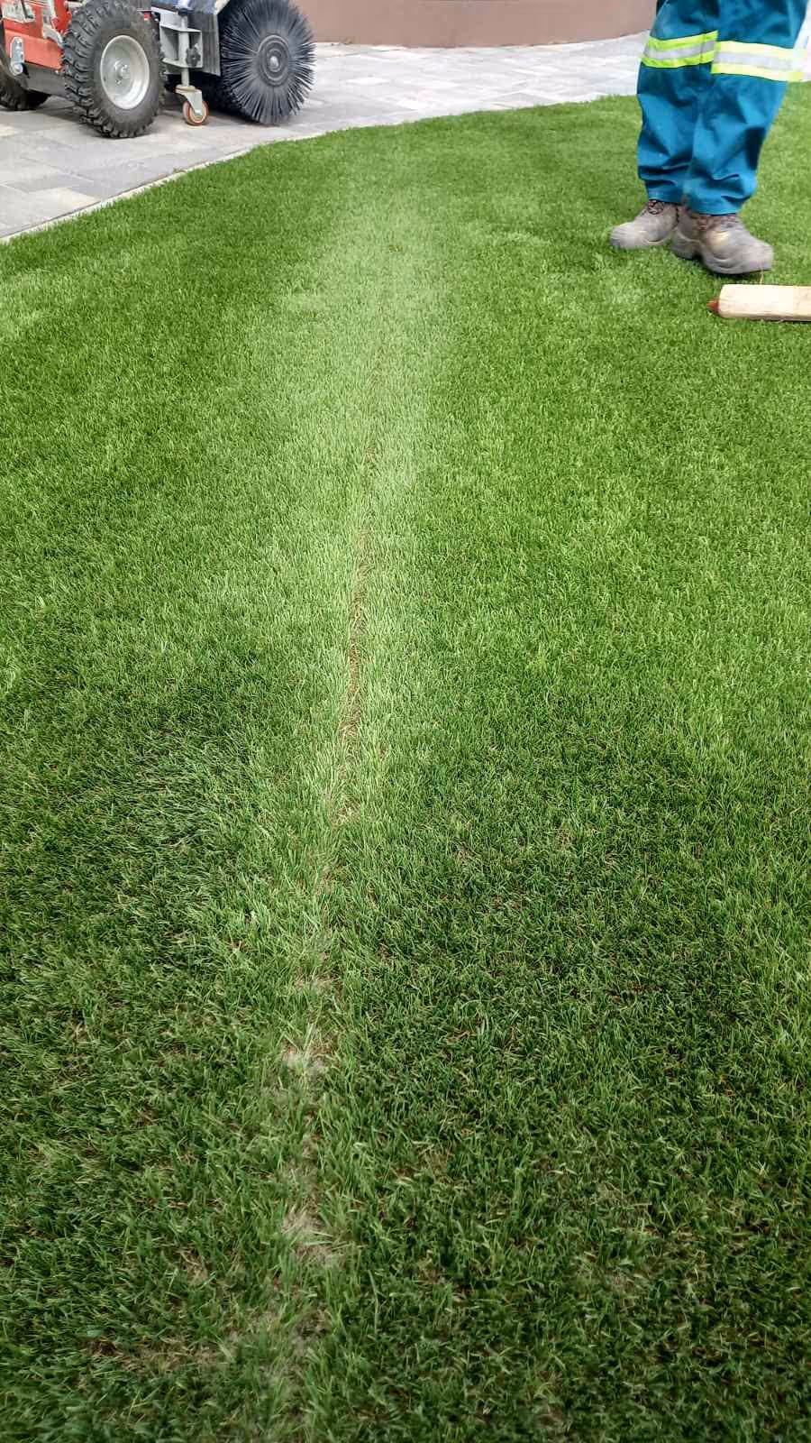 Holland pázsit®: Tényleg azt kapod, amiért fizetsz?