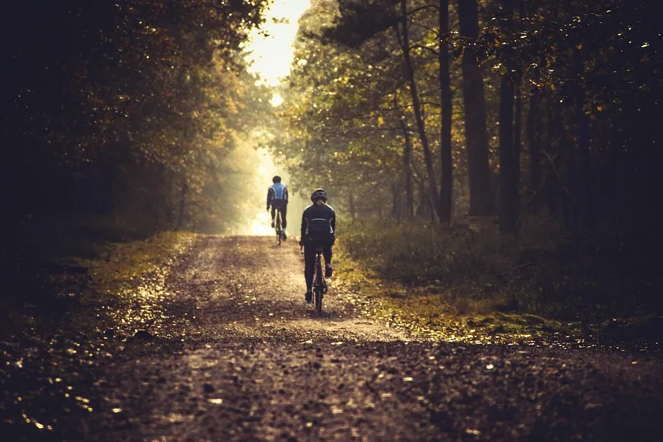 Zwei Radfahrer fahren auf einem schmalen, unbefestigten Weg durch einen Wald. Dichte Bäume umrahmen den Pfad, der von sanften Lichtstrahlen durchzogen wird.