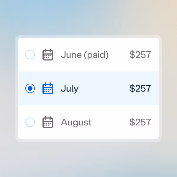Mockup of payments across months