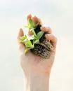 Personne qui tient une plante dans une main