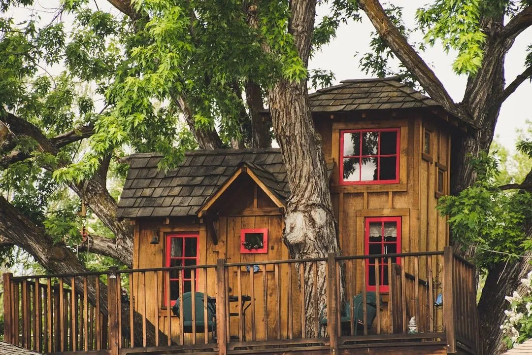 Photo d'une cabane en bois dans les arbres aménagé par Brovert