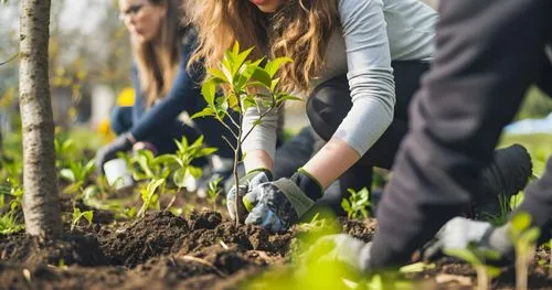 Paysagiste qui aménage un jardin fait par brovert