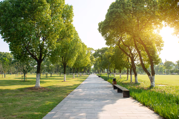 Image d'un jardin bien entretenu avec des tulipes et un banc par Brovert