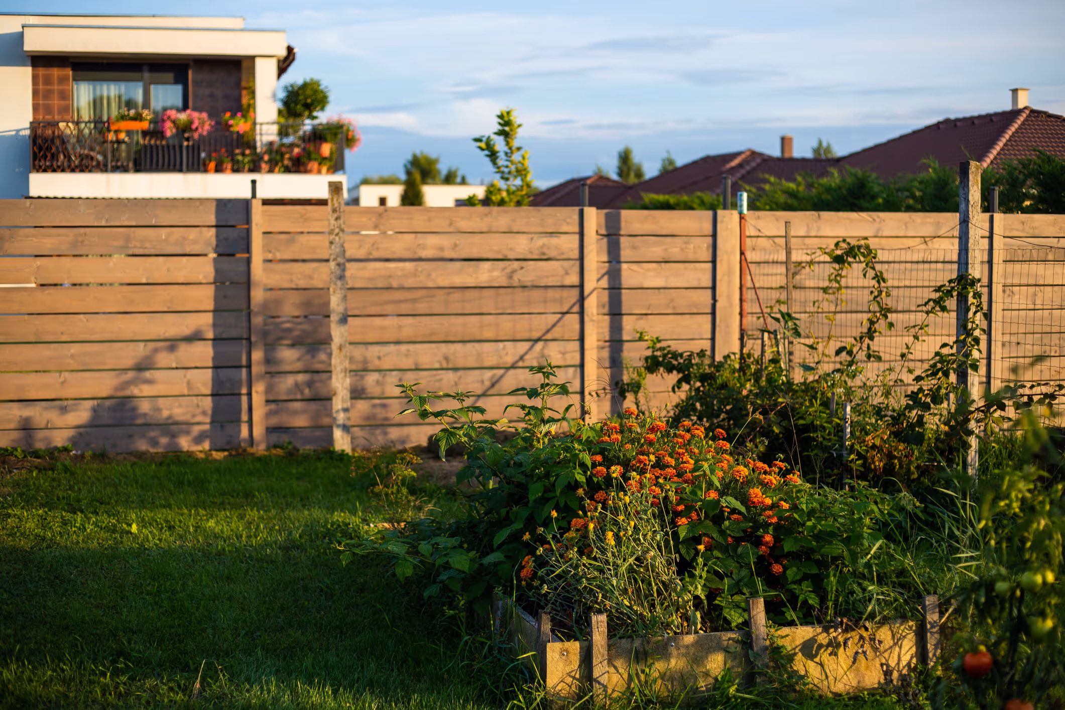 Photo d'un palissade et d'un potager fait par Brovert