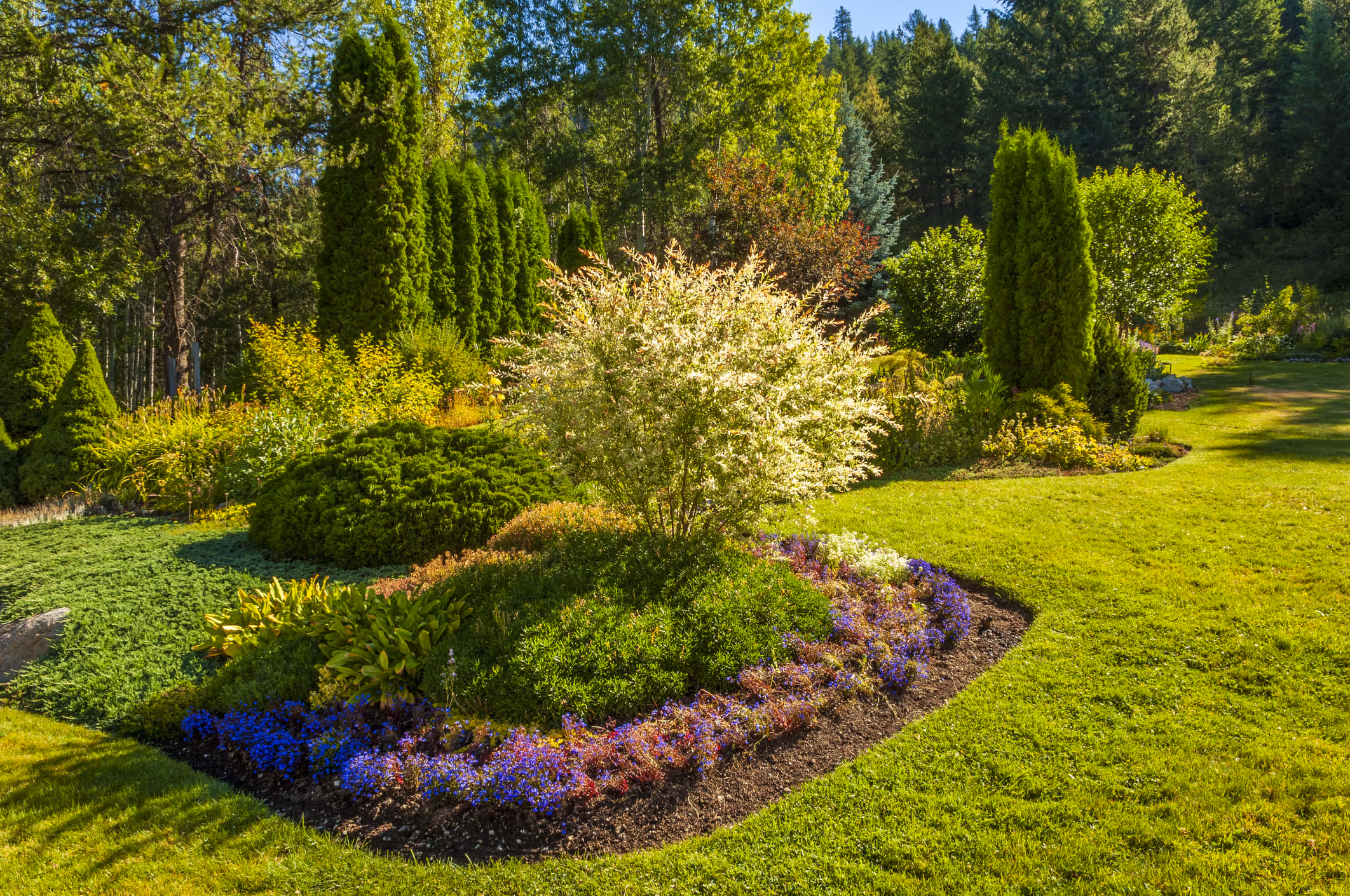 Photo d'un beau jardin bien entretenu par Brovert