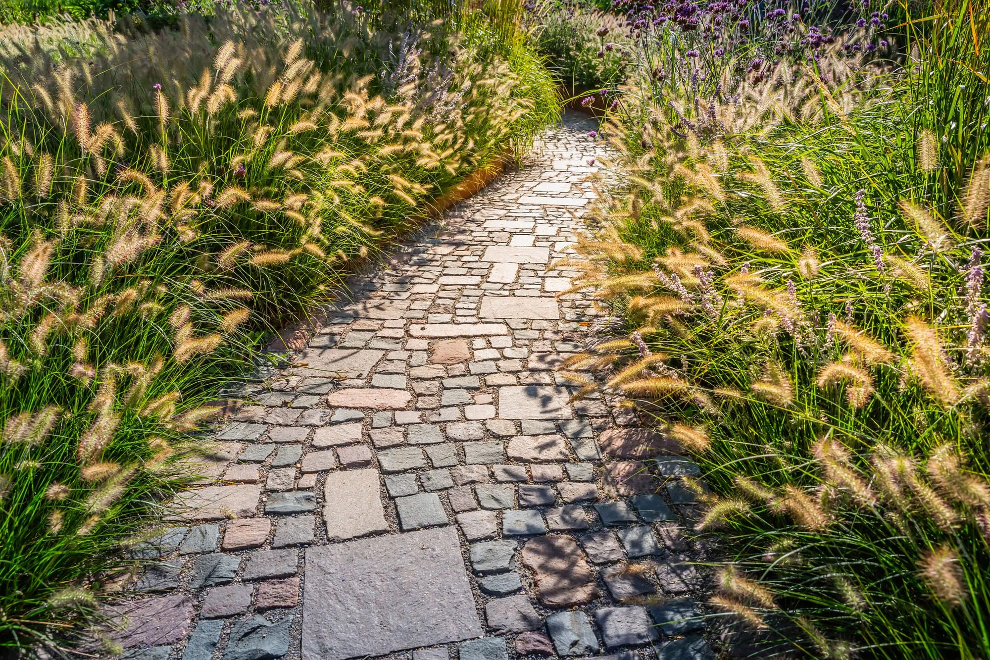 Photo d'une allée de pavé dans un jardin fait par Brovert