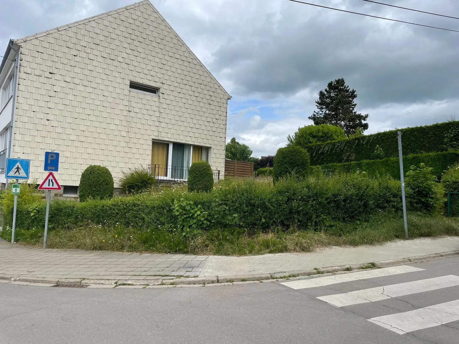 Photo d'un jardin complétement à l'abandon avant le passage de brovert