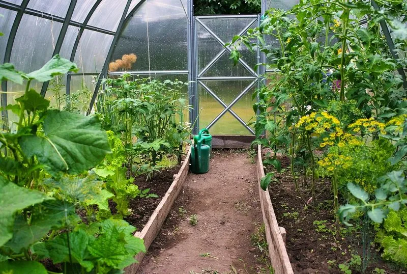 Photo d'une serre de jardin aménagé par Brovert