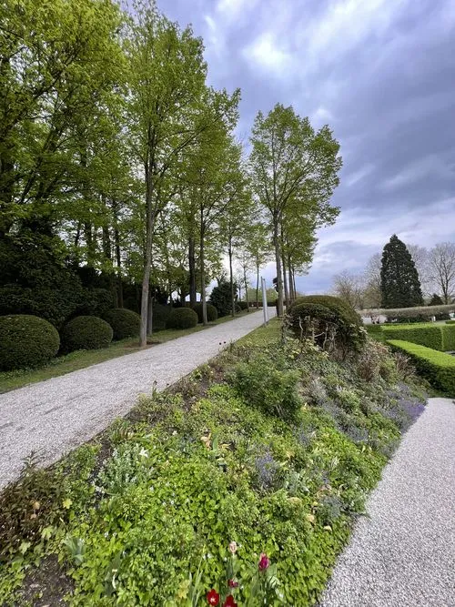 Préparation de pelouse