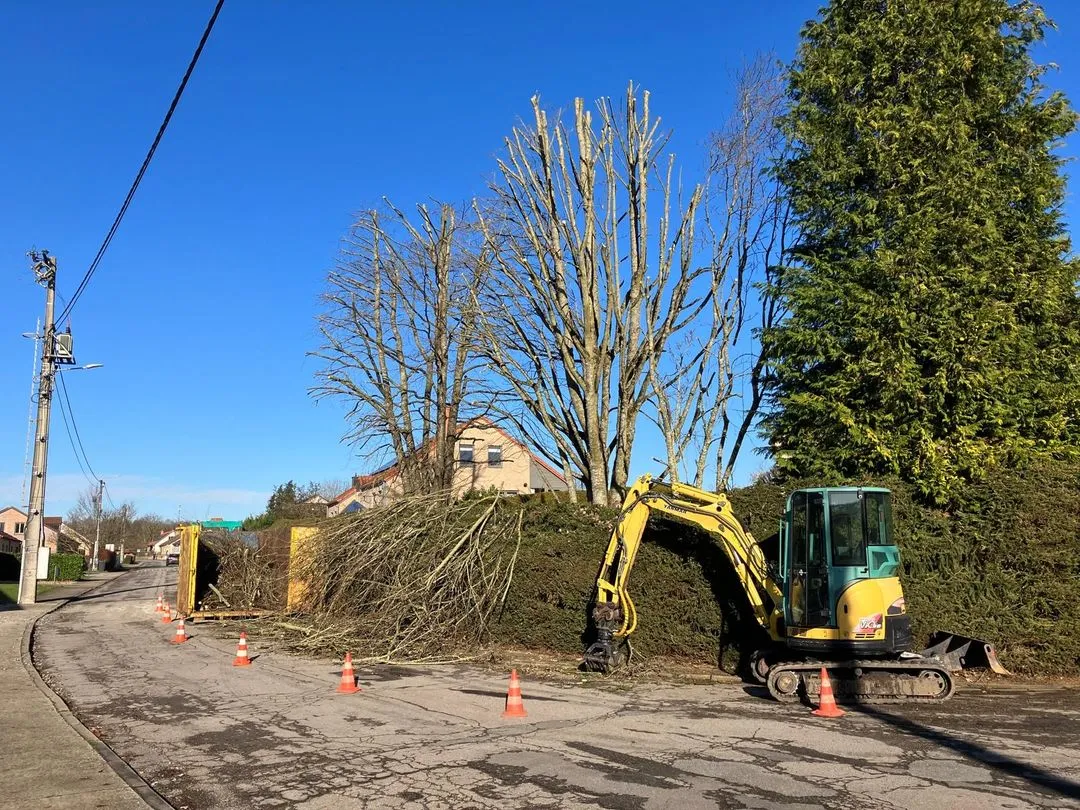 Entretiens de haie et élagage fait par Brovert