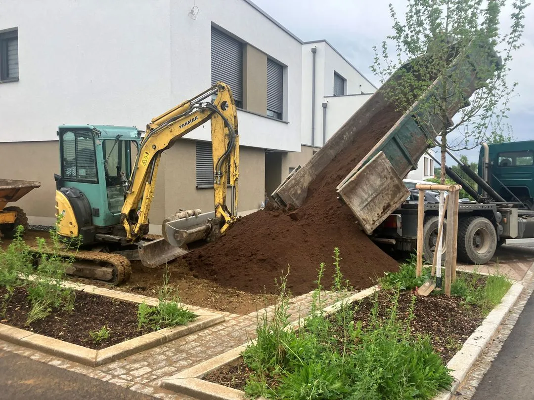 Création pelouse fait par Brovert