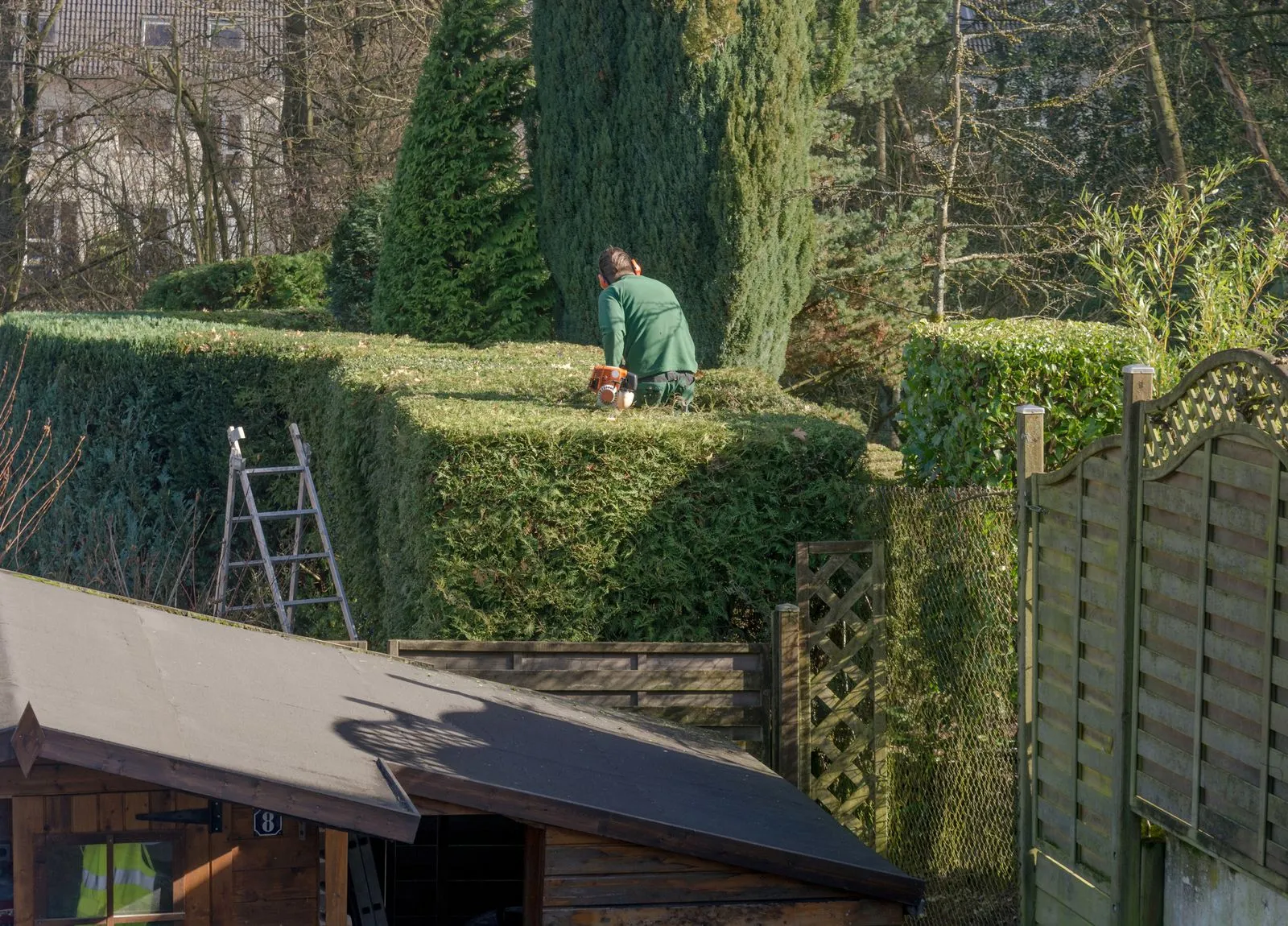 Entretien haie fait par Brovert