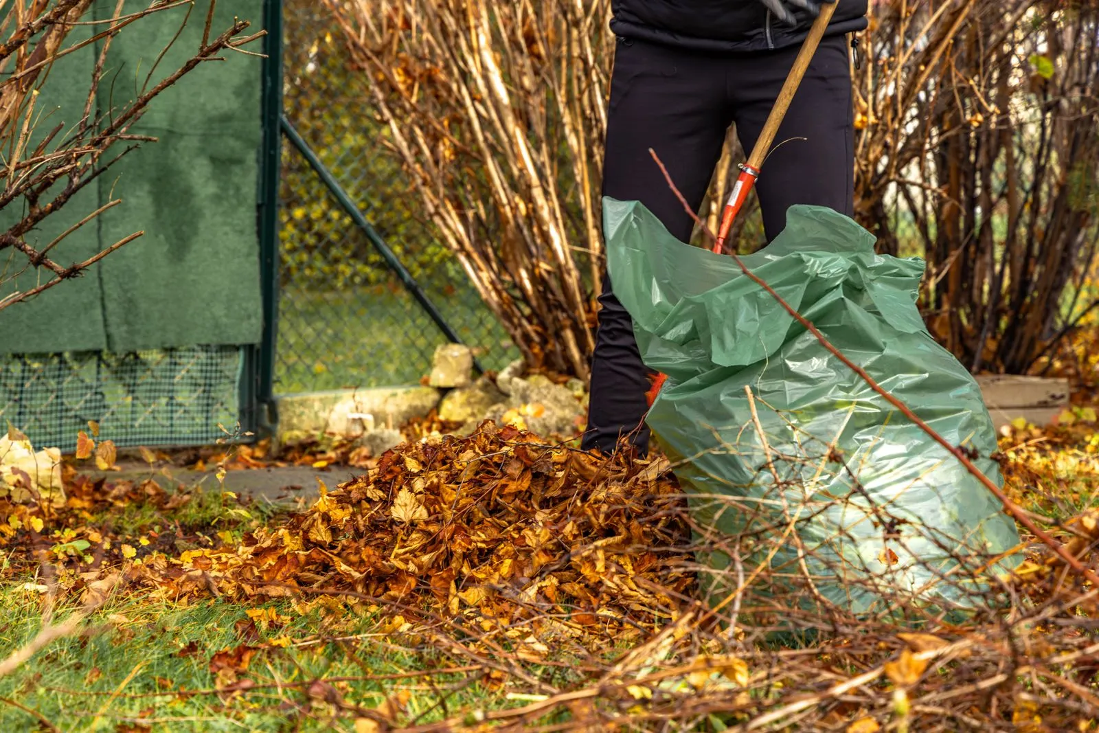 Personne qui ramasse des feuilles fait par Brovert
