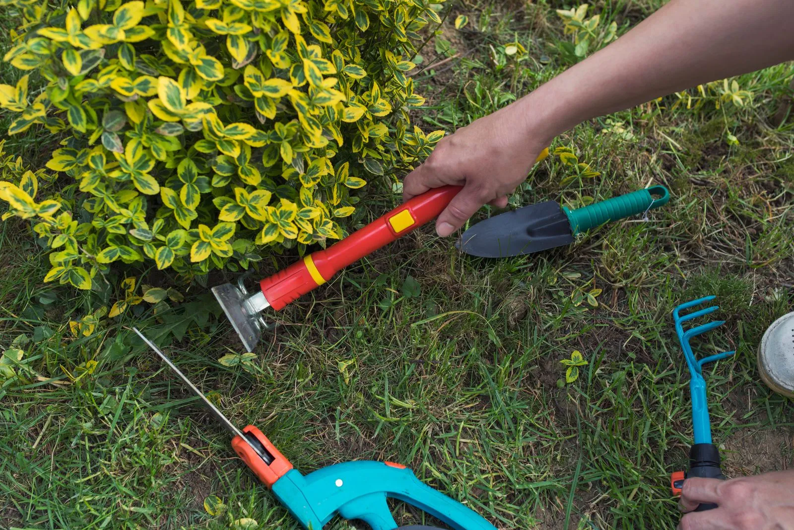 Personne qui nettoie le tour des plantes fait par Brovert