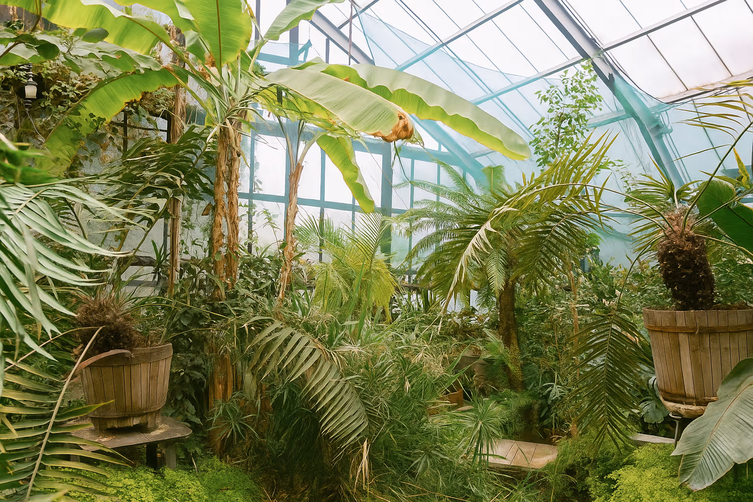 Photo d'une serre aménagé par Brovert