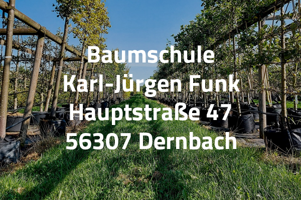 Eine Baumschule mit gepflegten Bäumen und Sträuchern in Reihen, umgeben von grünem Gras. Im Vordergrund ist die Beschriftung mit den Informationen zur Baumschule deutlich sichtbar.