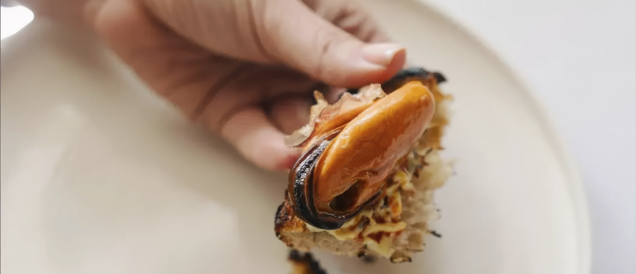 vista-aerea-pareja-palapa-alberca-forma-de-rio