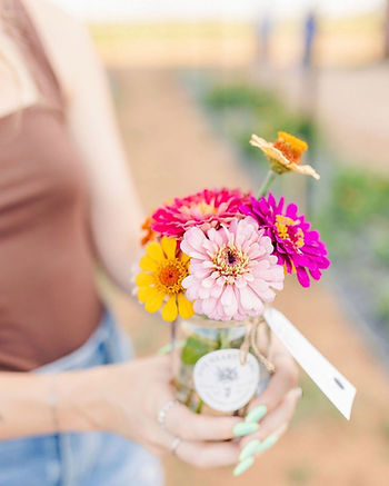 Five Heart Farms, Mexico, NM near Cannon AFB