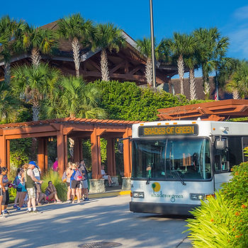 Free Shuttle from Military Shades of Green Resort to Disney Properties