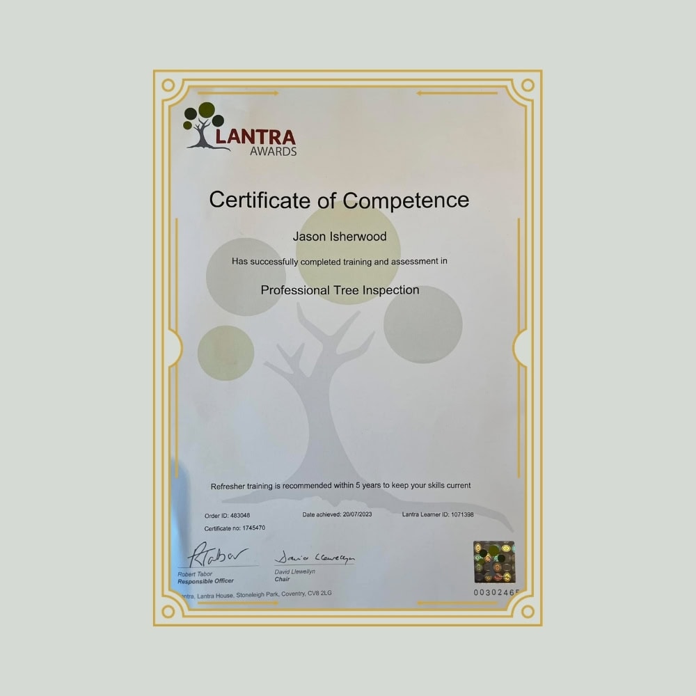 tree surveyor arboricultural accreditations