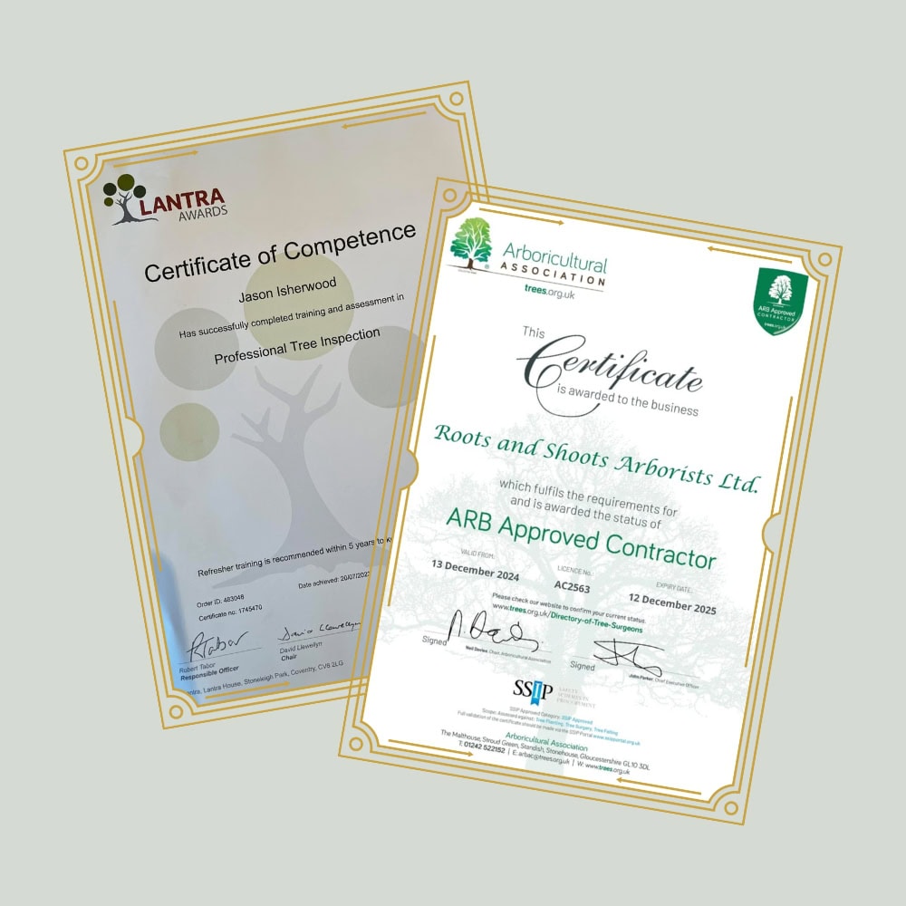tree surveyor arboricultural accreditations