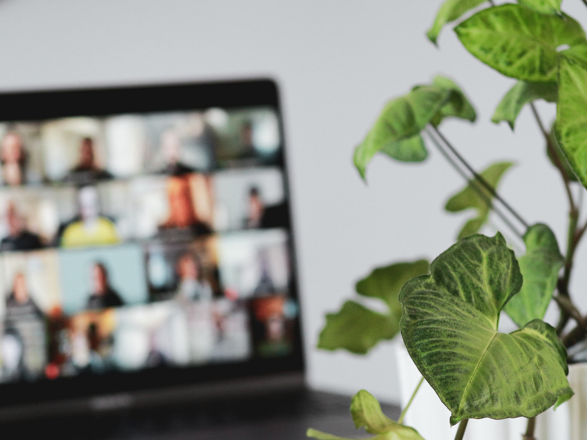 Virtual Presence