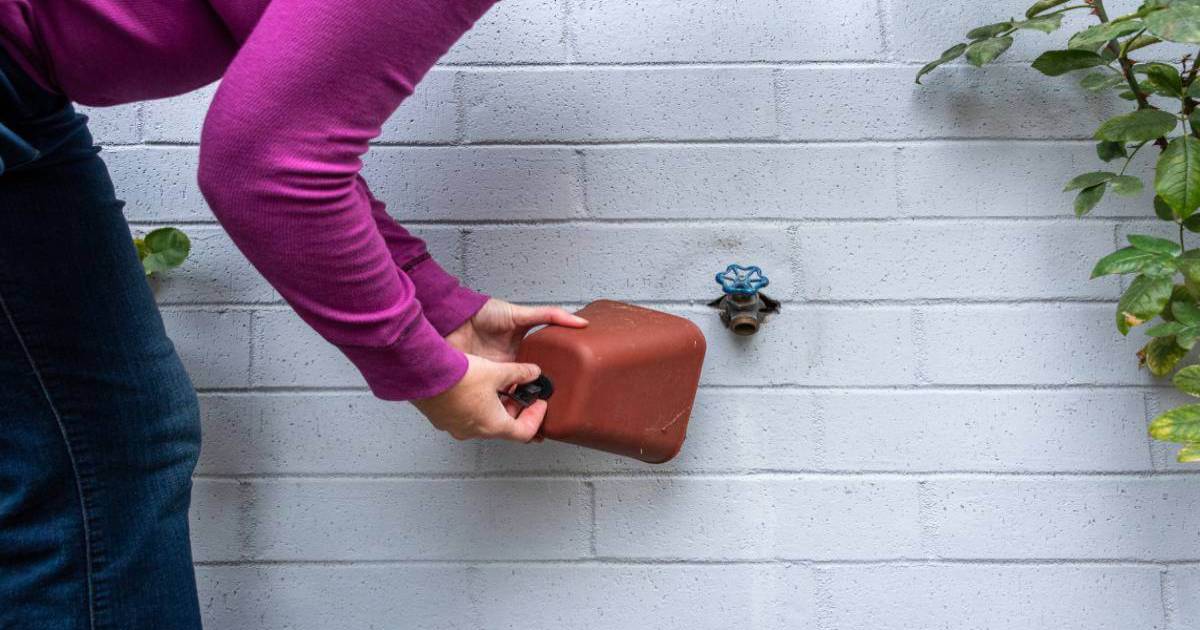 Woman wearing magenta shirt covers outdoor residential spigot for winterization. 