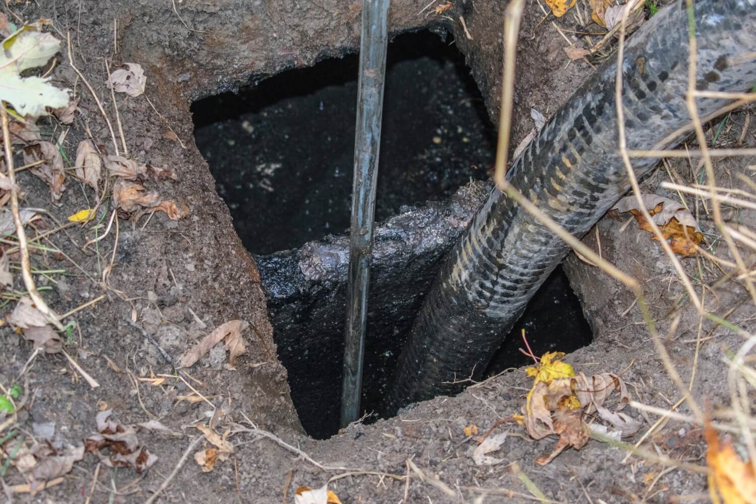 Drain Services in Cedar Park, TX