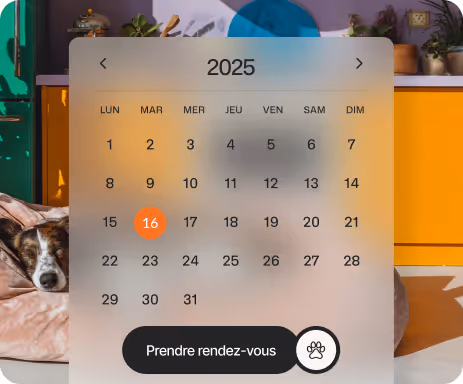 Calendrier pour l'année 2025 affichant le mois avec la date du 16 en surbrillance orange et un bouton 'Prendre rendez-vous' avec une icône de patte d'animal au premier plan, un chien dort sur un coussin à gauche, cuisine colorée en arrière-plan.