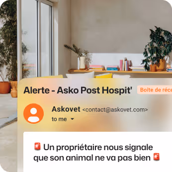 Notification email from Askovet alerting that a pet owner reports their animal is unwell, displayed over a bright indoor space with plants and large windows.