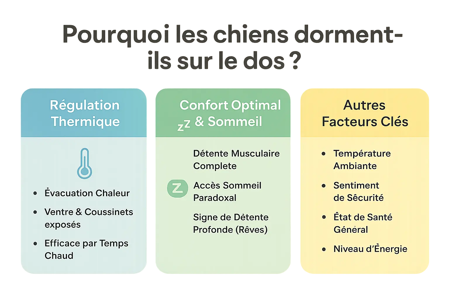 Chien dormant sur le dos