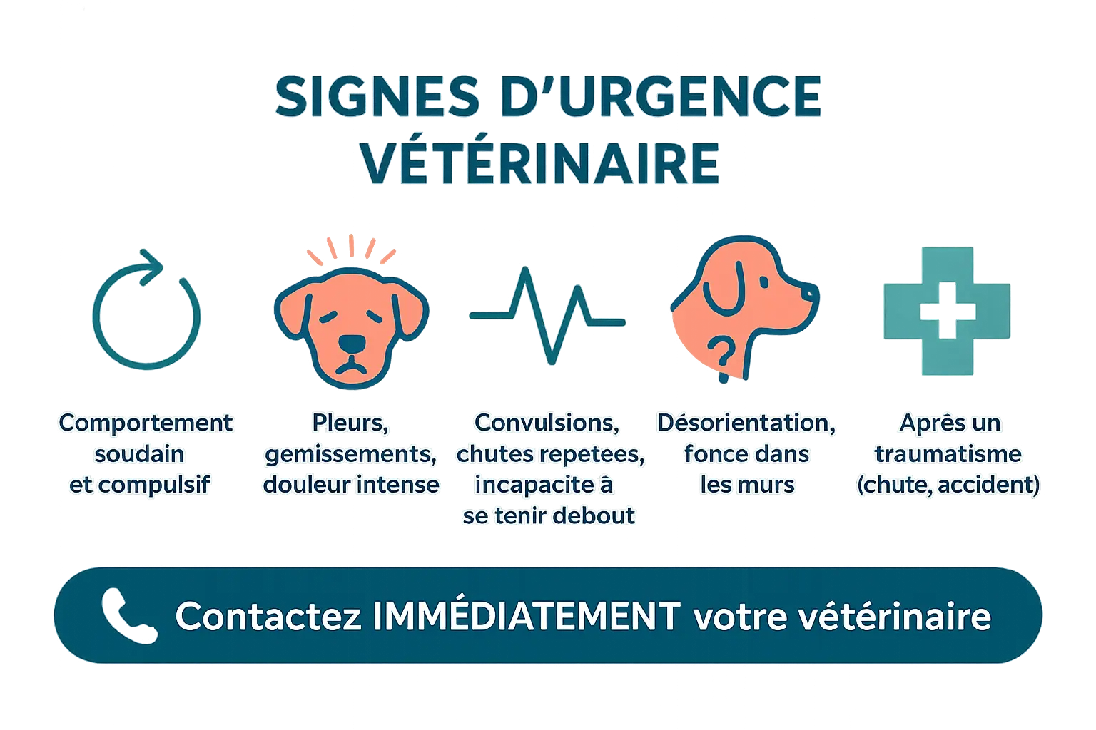 Illustration des signes d'urgence chez le chien