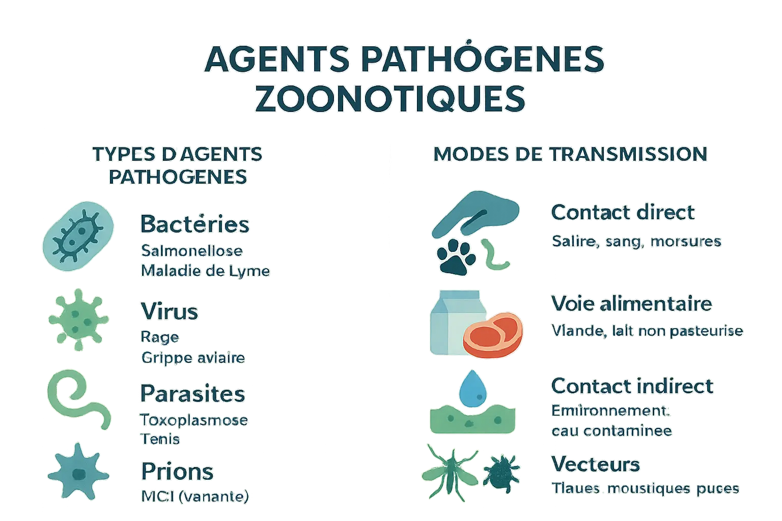 Illustration des agents pathogènes zoonotiques