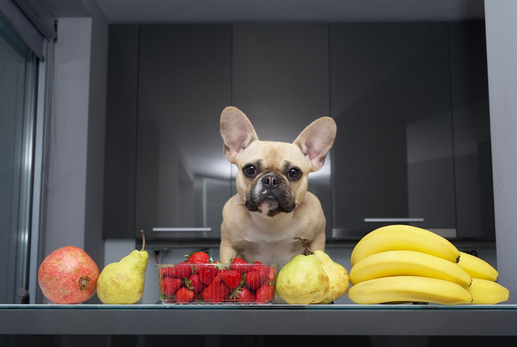 les fruits et légumes bons pour les chiens