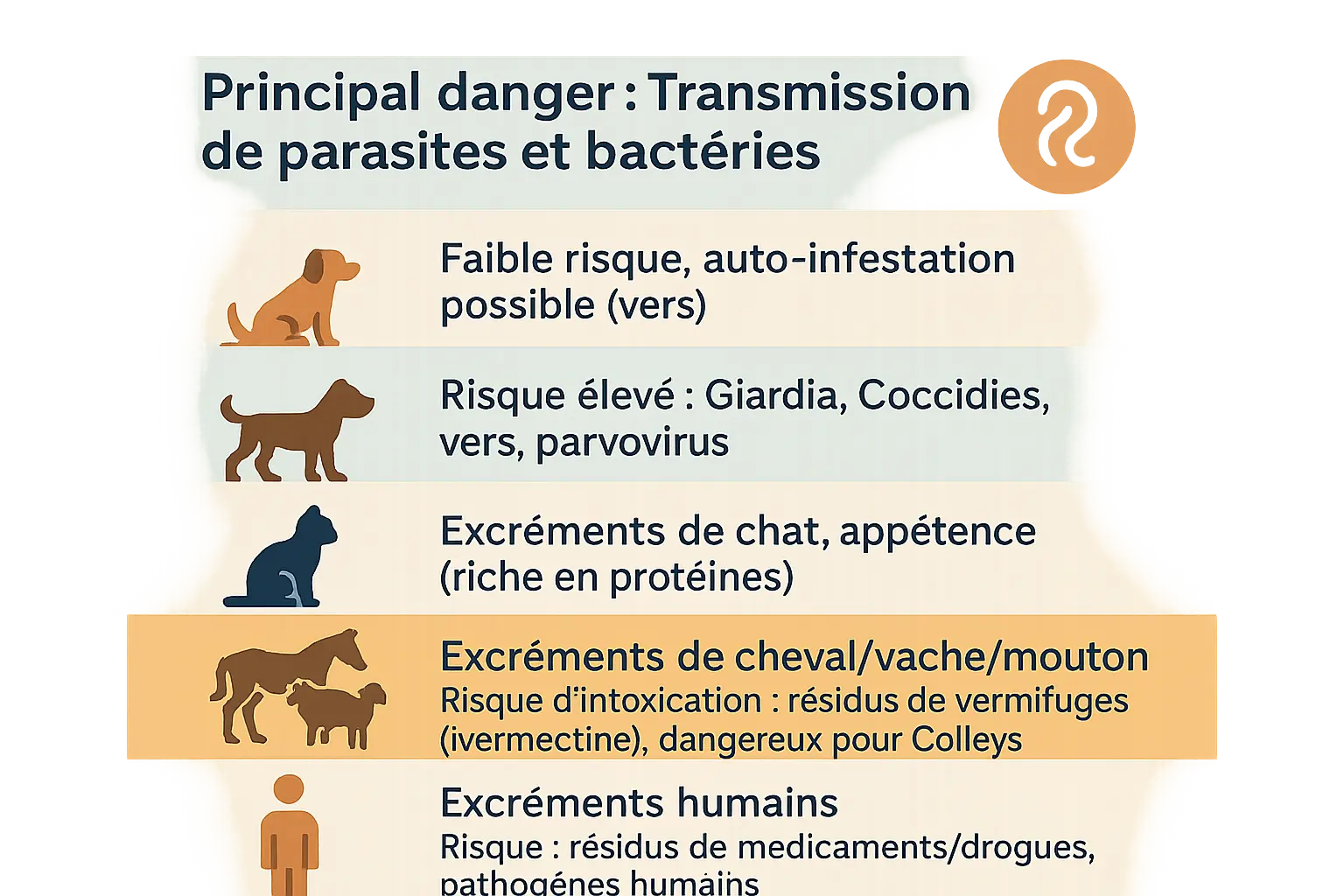 Risques sanitaires pour les chiens mangeant des excréments