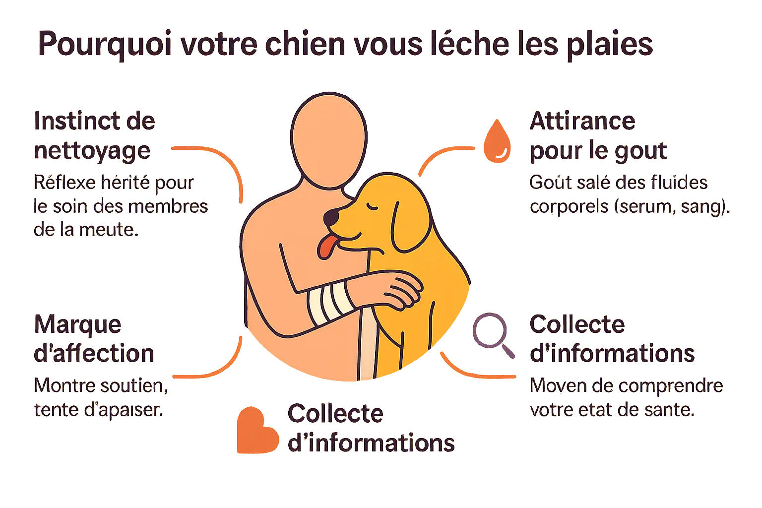 Chien léchant une main humaine