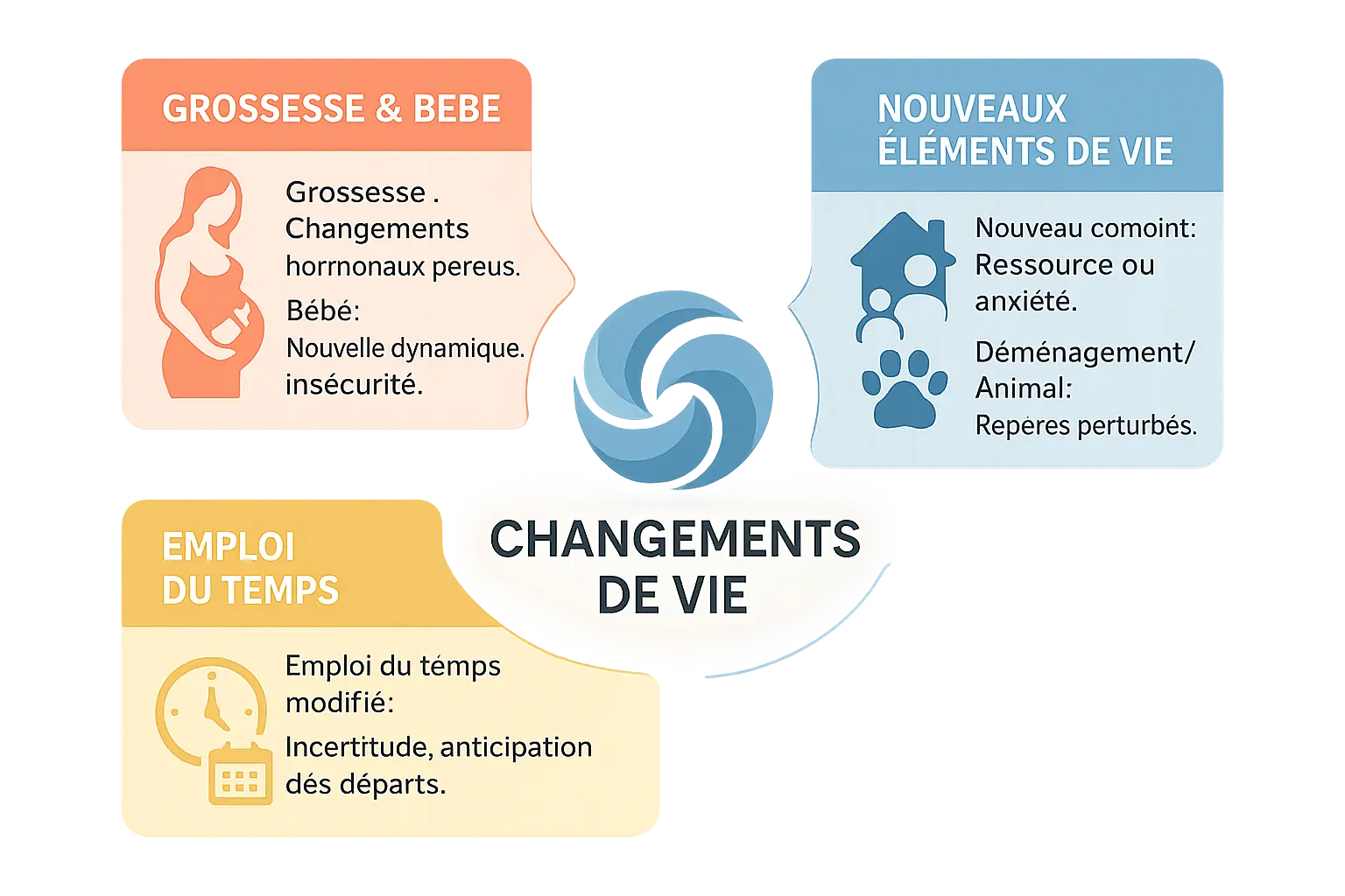 Illustration des impacts des changements de vie sur le comportement d'un chien
