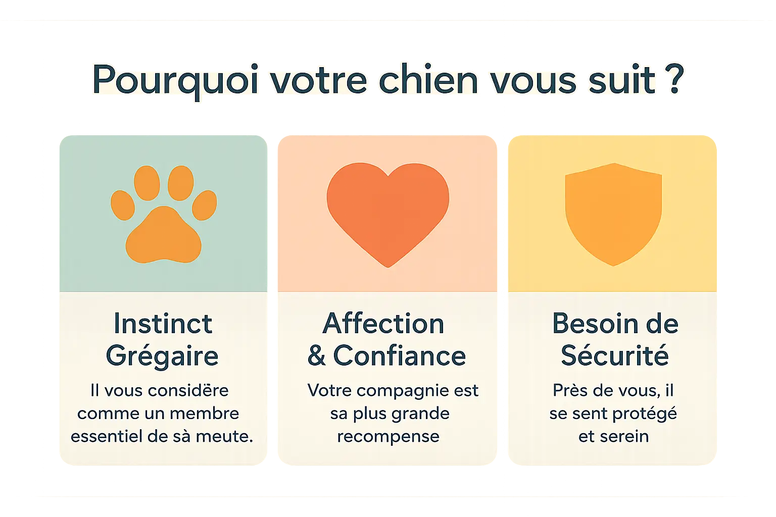 Un chien suit son maître dans une maison
