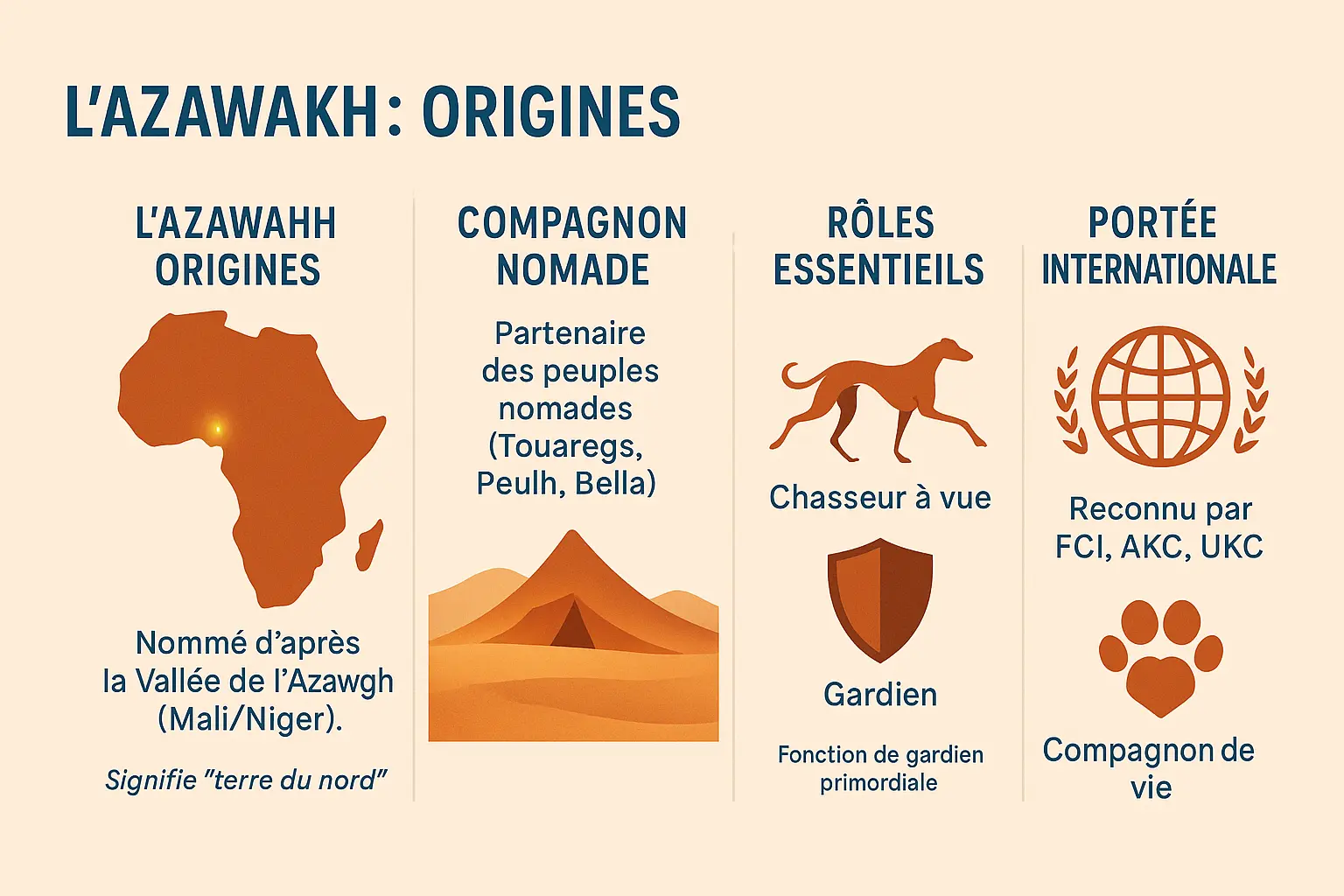 Azawakh dans un paysage sahélien