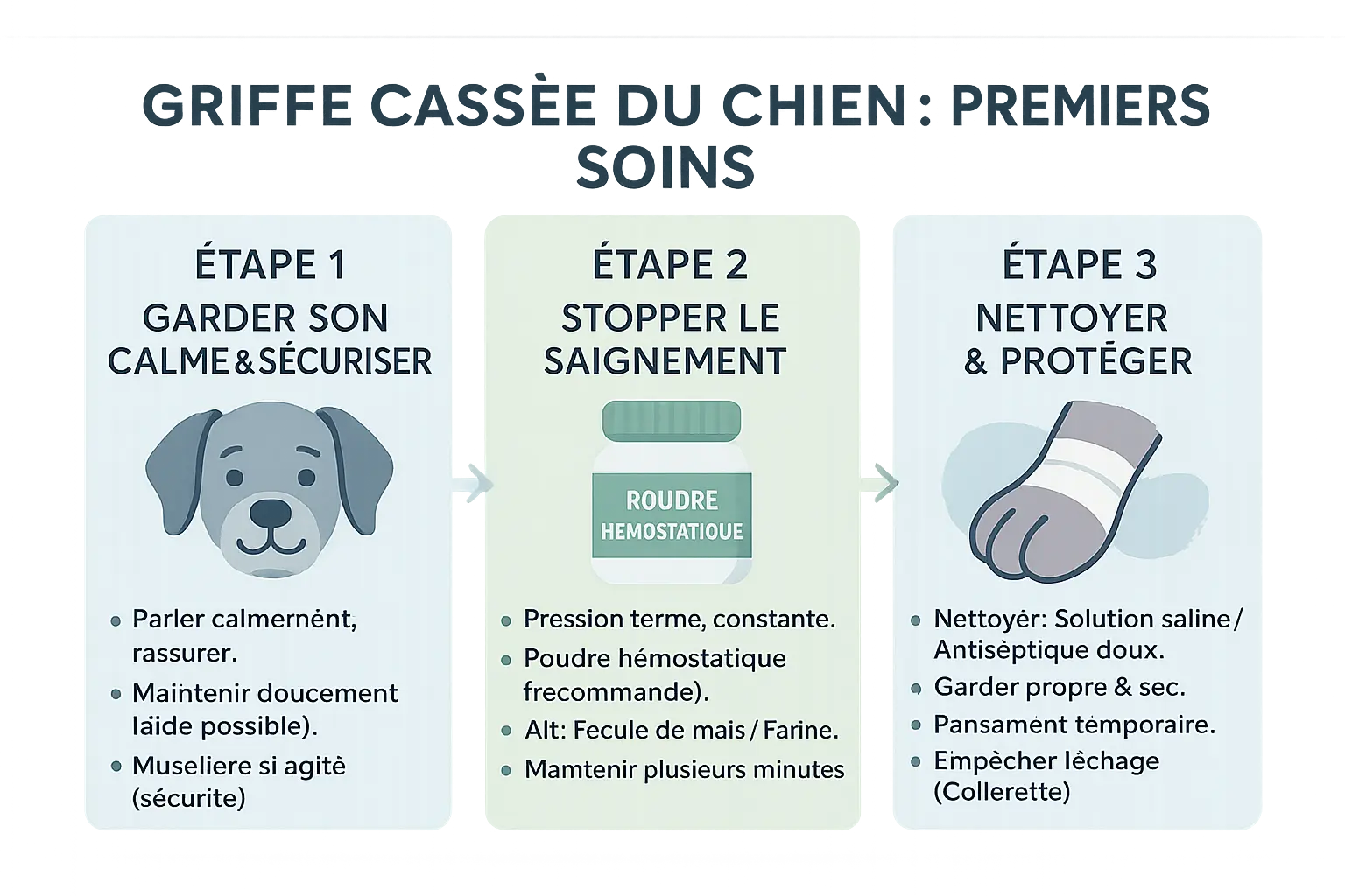 Illustration des premiers soins pour une griffe cassée de chien