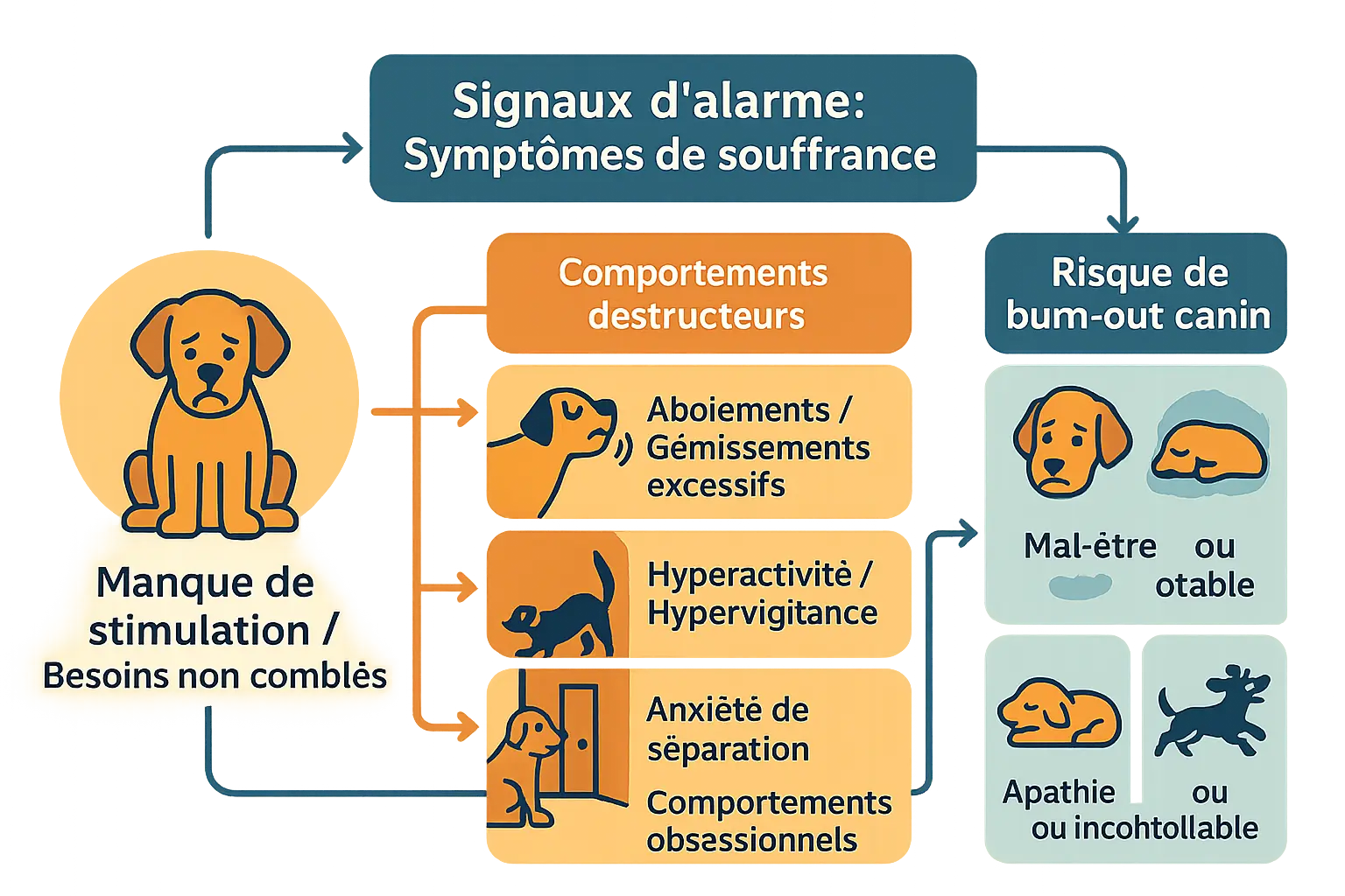 Illustration montrant un Border Collie stressé dans un appartement
