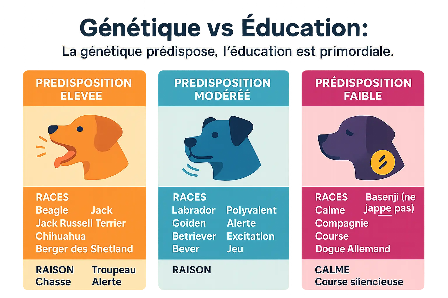 Chiots de différentes races jouant ensemble, illustrant l'influence de l'éducation sur le comportement d'aboiement