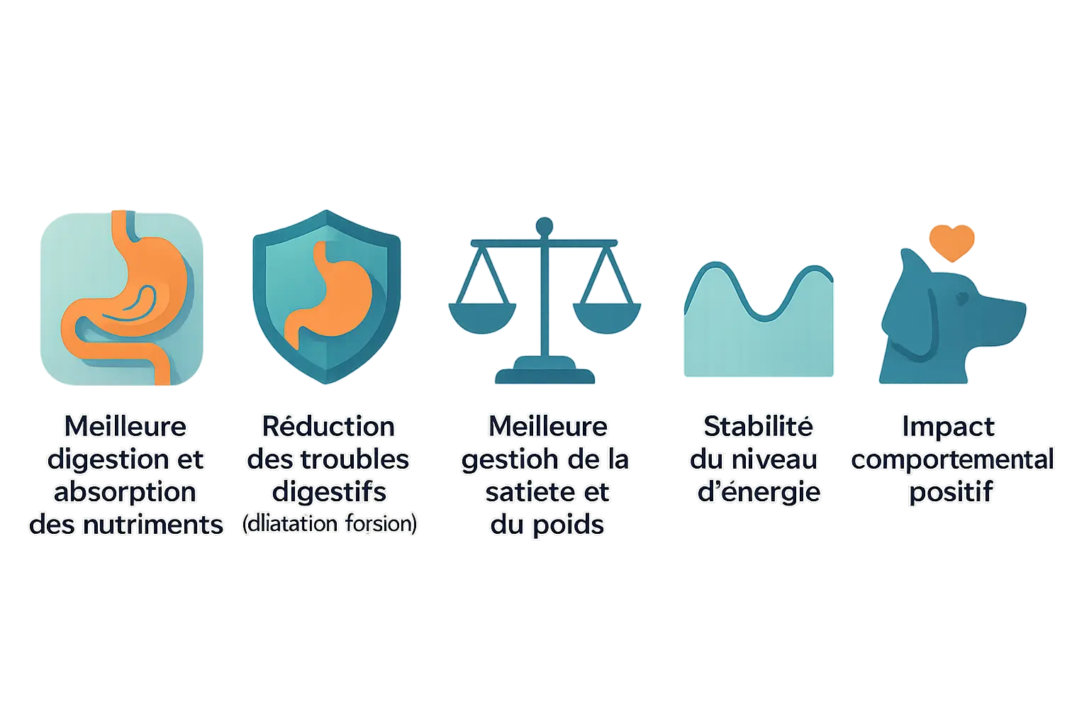 Illustration des bénéfices du fractionnement des repas pour les chiens