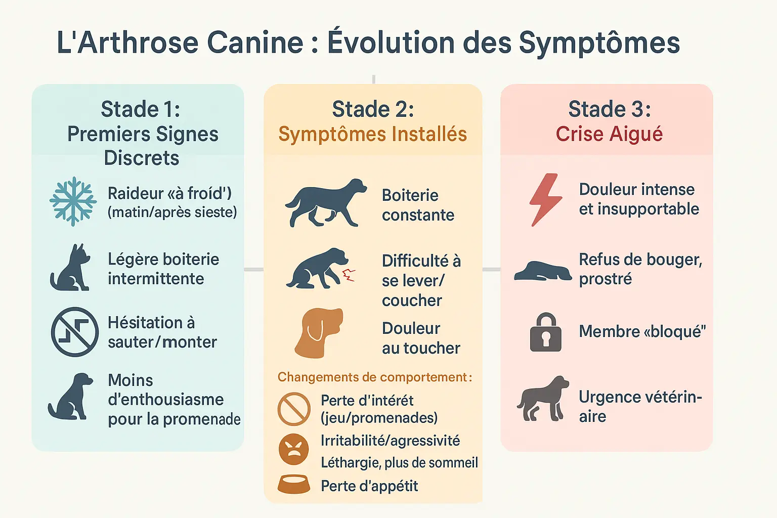 <strong>Évolution des symptômes d'arthrose canine</strong>