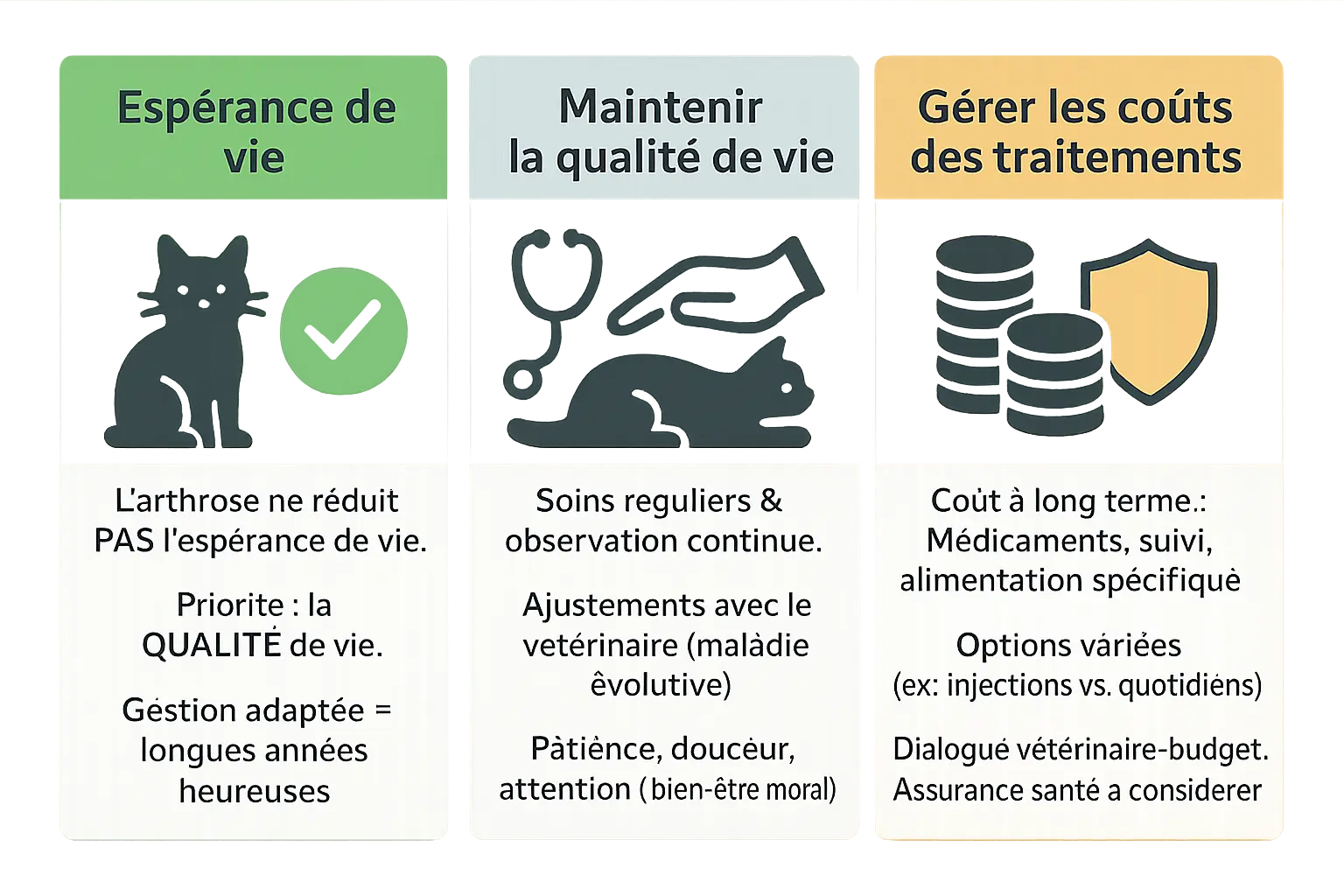 Chat âgé se déplaçant avec difficulté sur une surface moelleuse