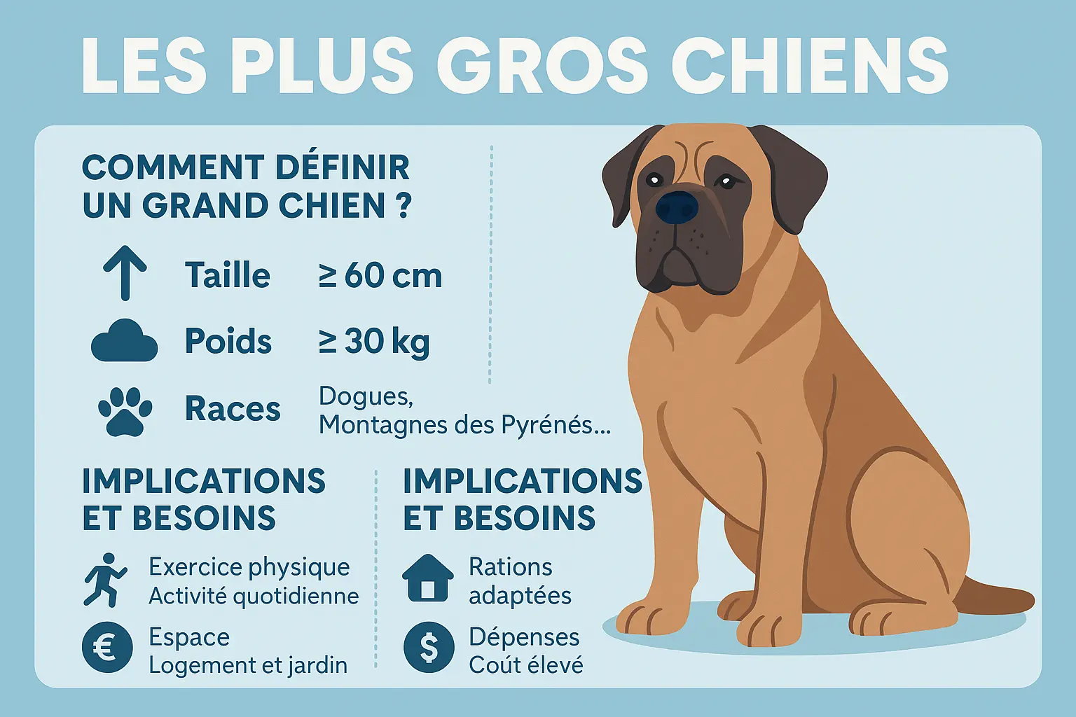 Illustration des <strong>plus grosses races canines</strong>
