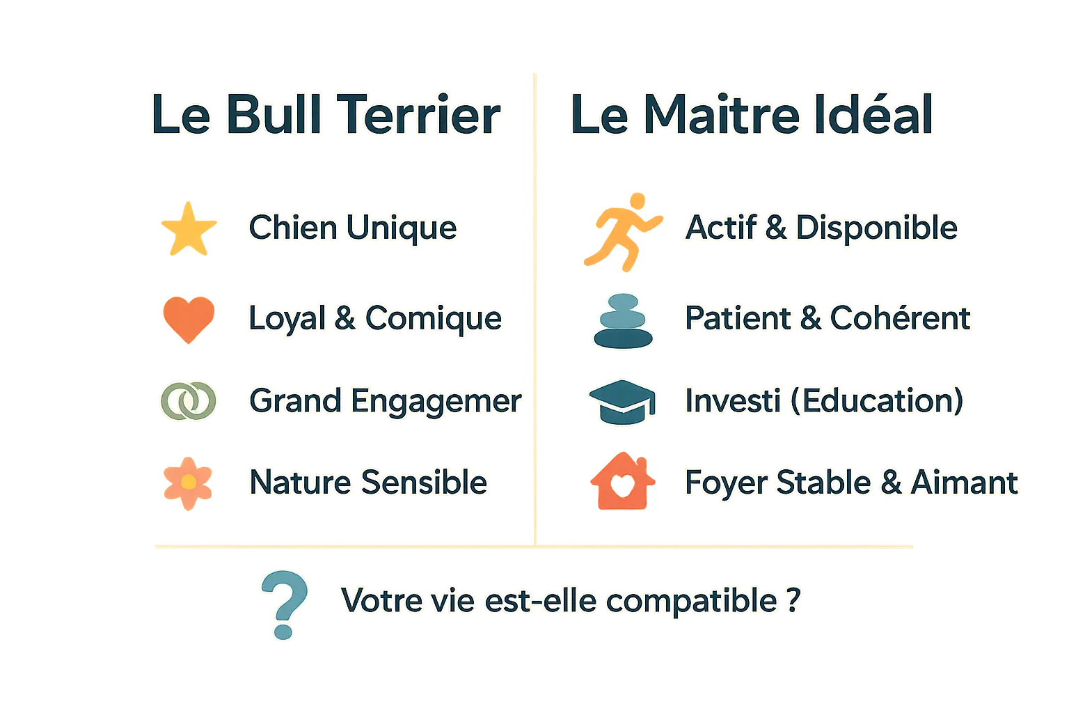 Bull Terrier <strong>chien unique et maître idéal</strong>